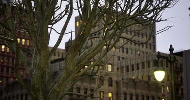 CGI Tree branches silhouetted against urban architecture at dusk video