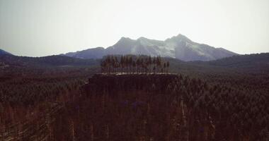 CGI Majestic mountain landscape with isolated rock formation and green pine trees video