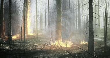 CGI Forest fire spreads through trees in a dense woodland area during daylight video