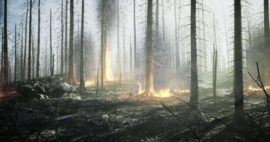 CGI Forest engulfed in flames during a wildfire in the early morning light video