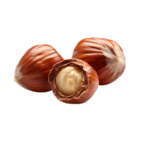 Three hazelnuts with one open showing kernel isolated on transparent background png