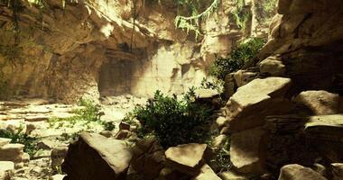 CGI Daylit cave with lush greenery and sunlit rocks video
