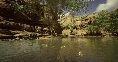 CGI Serene water body surrounded by rocky cliffs and lush greenery in a remote area video