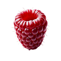 A vibrant red raspberry showcases its distinctive crown and intricate texture, capturing the viewer's attention with its fresh and inviting appearance, set against a clean backdrop png