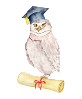 Wise owl graduation theme with scroll and cap for educational design. Watercolor illustartion. For banner, poster, certificate, diploma, invitation, card. Isolated. Education concept. End of course png