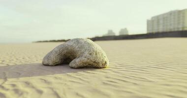CGI A smooth, curved rock rests on the sandy beach, surrounded by gentle dunes video