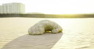 CGI Curious sandy formation resembling a creature at sunset on a quiet beach video