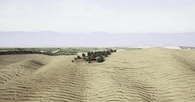 CGI Rolling hills with distinct patterns and sparse vegetation in a vast landscape video