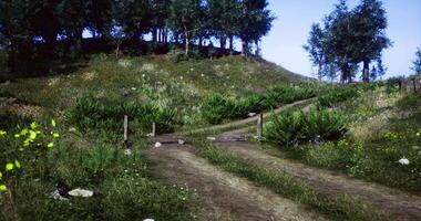 CGI Peaceful dirt path winding through lush green landscape during sunny day video