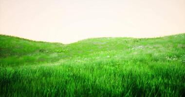 CGI Vibrant green meadow with gentle hills under a soft sky during daylight hours video