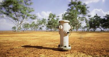 CGI Dry landscape with a white fire hydrant surrounded by sparse vegetation video