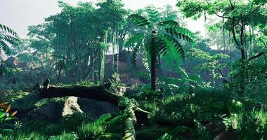 CGI Lush tropical forest scene with vibrant greenery and wildlife in sunlight video
