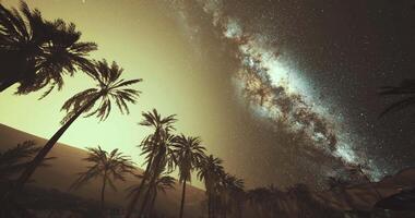 CGI Night sky over palm trees showcasing the Milky Way in a desert setting video