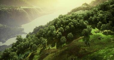 CGI Scenic view of lush greenery and river under soft golden sunlight video
