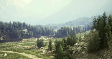 CGI Tranquil mountain valley with lush greenery and winding trail at dawn video