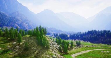 CGI Scenic landscape showcasing lush greenery and mountains under bright sky video