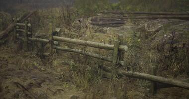 CGI Weathered wooden fence surrounded by overgrown vegetation in rural area video