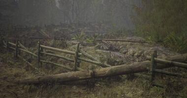CGI Foggy forest trail lined with wooden fence in early morning light video