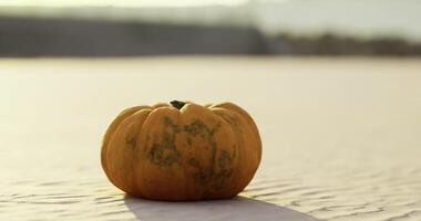 CGI Pumpkin sits alone on frozen lake during autumn sunset near mountains video