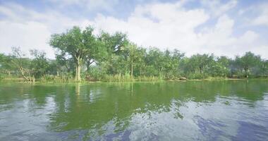 CGI Peaceful lakeside view displaying lush greenery on a clear day video