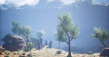 CGI Landscape with rocky formations and lush trees in a misty setting at midday video