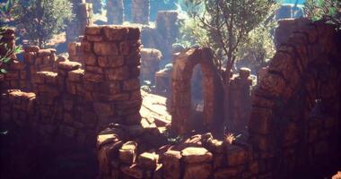 CGI Ancient stone ruins surrounded by greenery in a serene sunlight setting video
