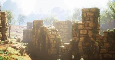 CGI Ruins with sunlit greenery in a tranquil outdoor setting during morning hours video