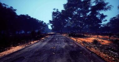CGI Scenic empty road surrounded by dense trees in a quiet natural landscape video