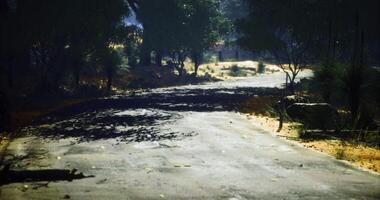 CGI Empty dirt road surrounded by trees in a sunlit environment during daytime video