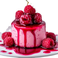 A dessert with raspberry sauce on top png