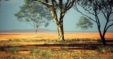 CGI Quiet landscape with trees in the Australian outback during daytime hours video