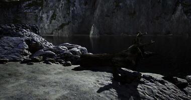 CGI Rocky shoreline with weathered logs and still water reflecting cliffs video