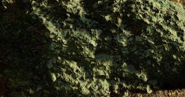 CGI Unique textured green stone with intricate patterns and details video