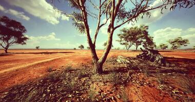 CGI Arid landscape with dry terrain and scattered trees in the Australian outback video