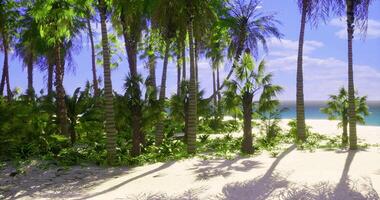CGI Lush tropical beach with palm trees and vibrant greenery under sunny sky video