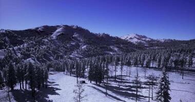 CGI Snow covered mountains and coniferous forests under clear blue sky video
