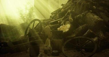 CGI Wood pile illuminated by sunlight in a dense forest setting near a rural area video