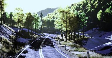 CGI Scenic winding road through lush forest landscape on a sunny day video