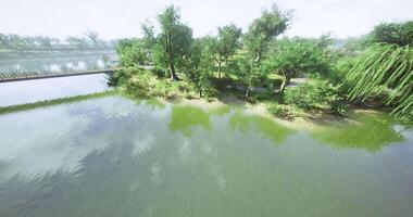 CGI Lush riverside park with greenery and wooden bridge on sunny day video