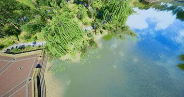 CGI Serene view of a tranquil pond surrounded by lush greenery during daytime video
