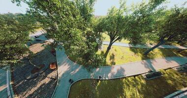 CGI Serene park pathway illuminated by sunlight in vibrant green surroundings video