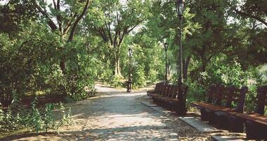 CGI Peaceful park pathway surrounded by lush trees and benches in bright sunlight video