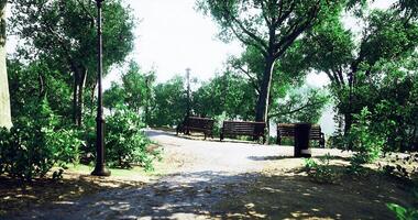 CGI Serene park pathway with benches and greenery during daylight hours video