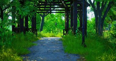 CGI Serene pathway through lush greenery in a tranquil park setting video