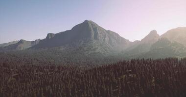 CGI Majestic mountain range with dense pine forests under bright blue sky video