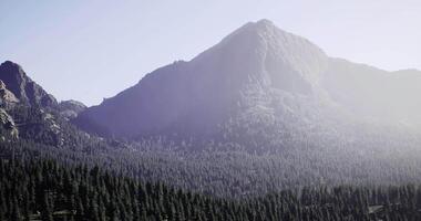 CGI Majestic mountain range rising above dense evergreen forest at dawn video