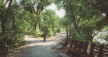 CGI Peaceful park pathway surrounded by lush greenery and benches for relaxation video