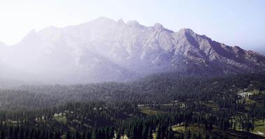 CGI Rocky mountain landscape with dense forest under clear sky in daylight video