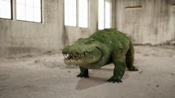 CGI Crocodile exploring an abandoned space with natural sunlight streaming video