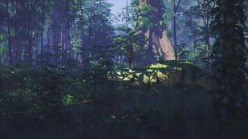 CGI Crocodile resting in the lush environment of a tropical forest during daytime video